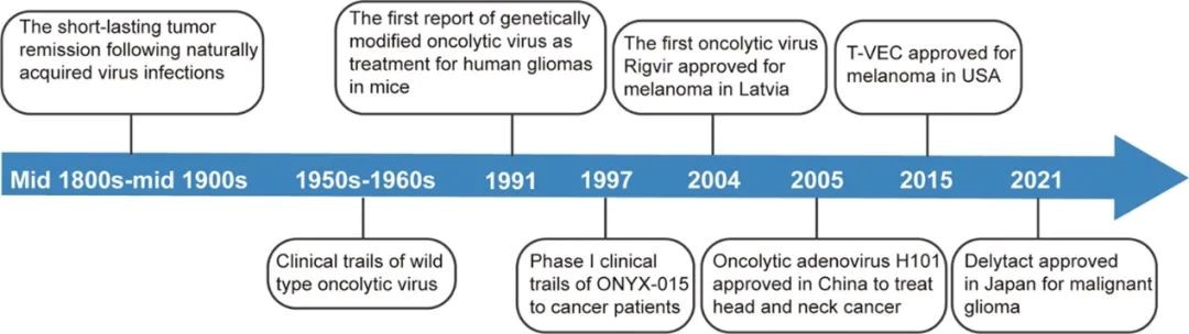 腫瘤免疫療法的潛力新星—溶瘤病毒