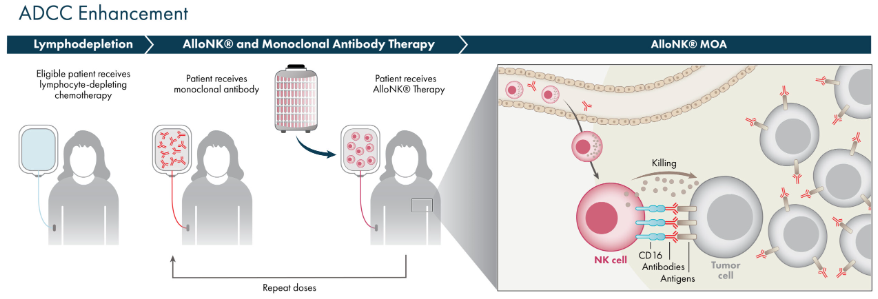 重磅!首個通用型NK獲批IND治療紅斑狼瘡,可支持門診給藥buff疊滿